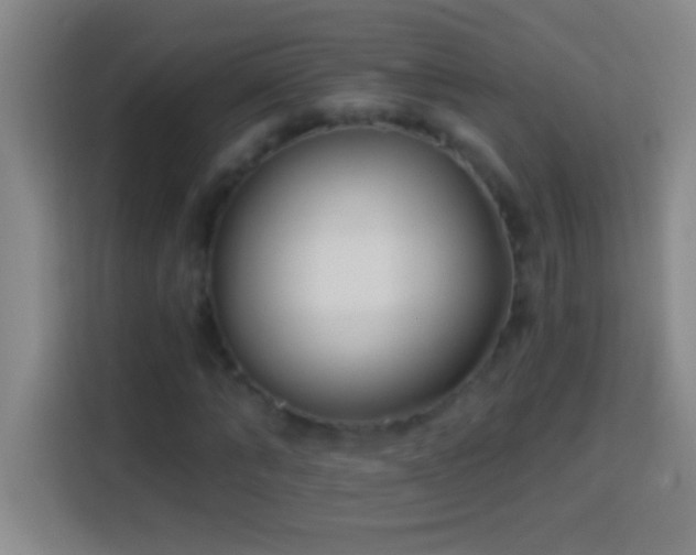 X0000113900870200910011341