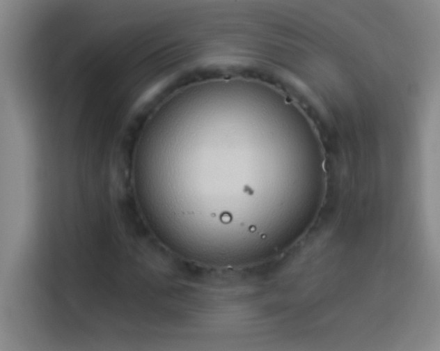 X0000113900871200910011341