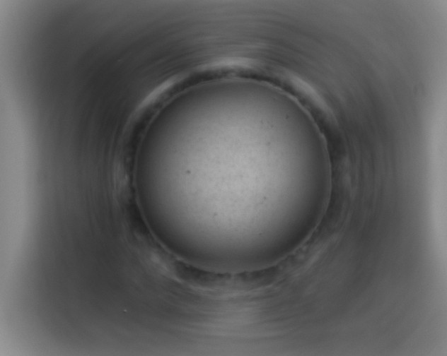 X0000113900872200910011341