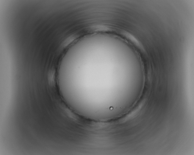 X0000113900873200910011341