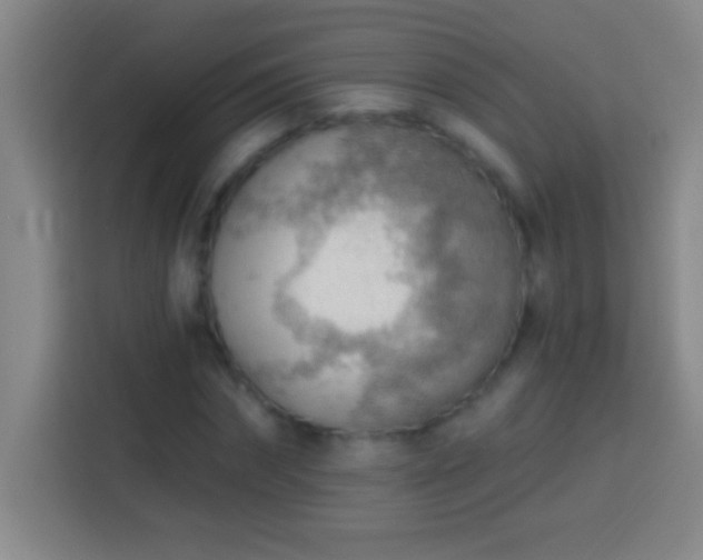 X0000113900874200910011341