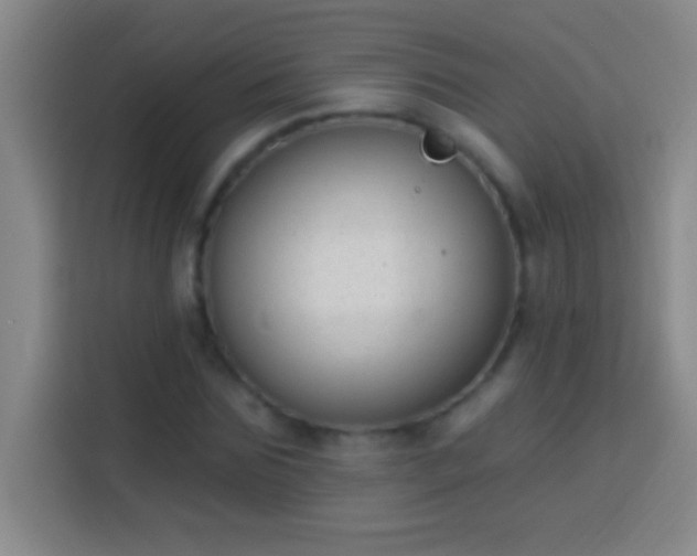 X0000113900875200910011341