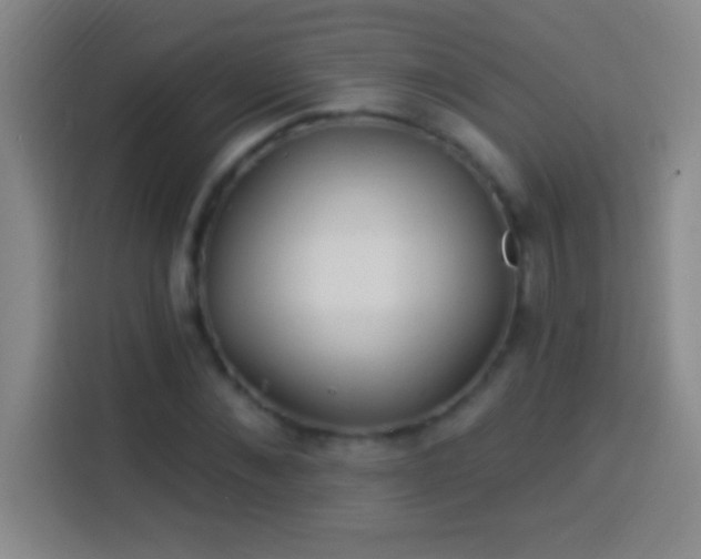 X0000113900876200910011341