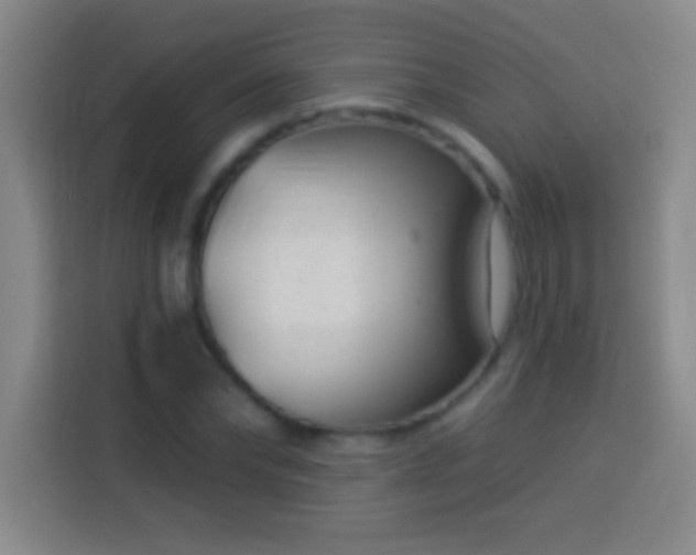 X0000113900878200910011340