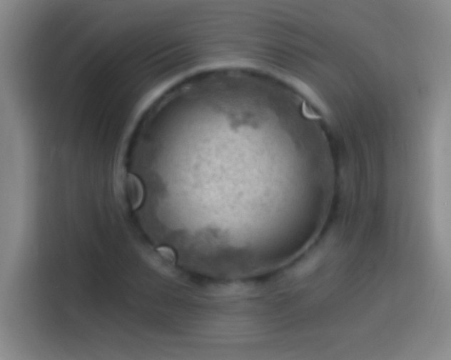 X0000113900879200910011340