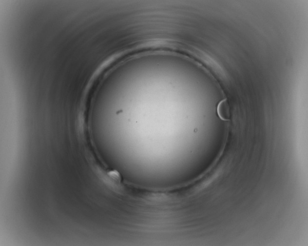 X0000113900880200910011340