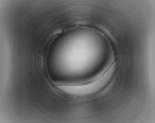 X0000113900881200910011340