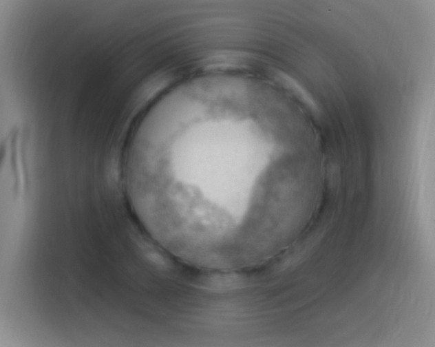 X0000113900882200910011340