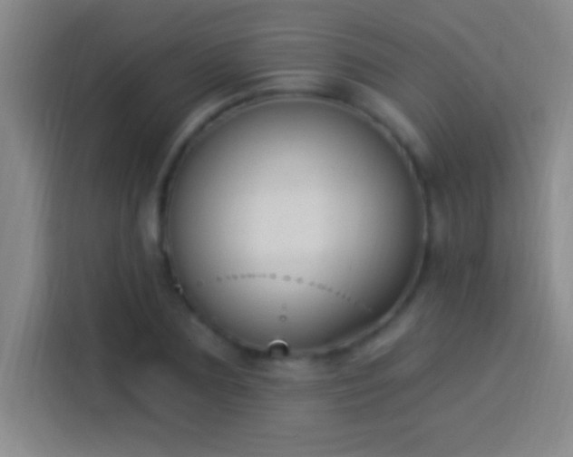 X0000113900883200910011340