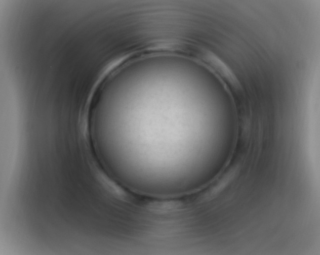 X0000113900884200910011340