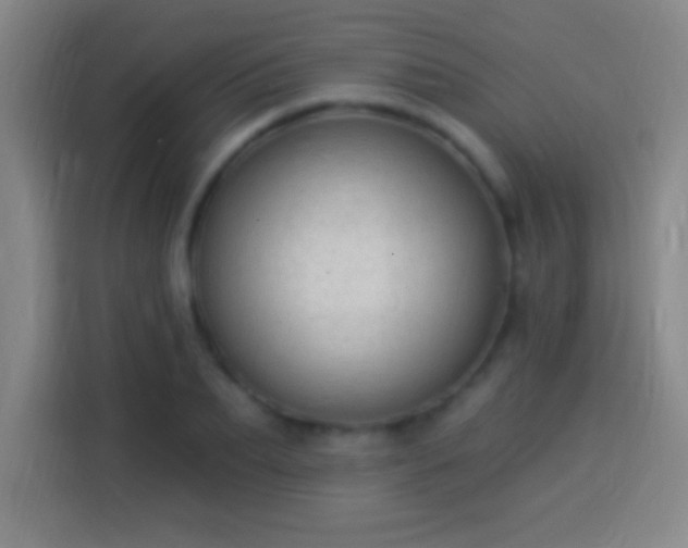 X0000113900887200910011340