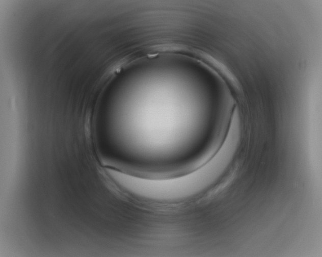 X0000113900889200910011340