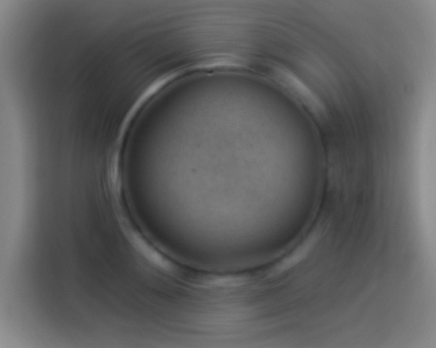 X0000113900892200910011340