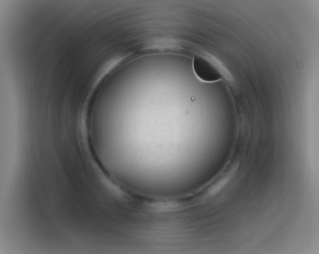 X0000113900893200910011340