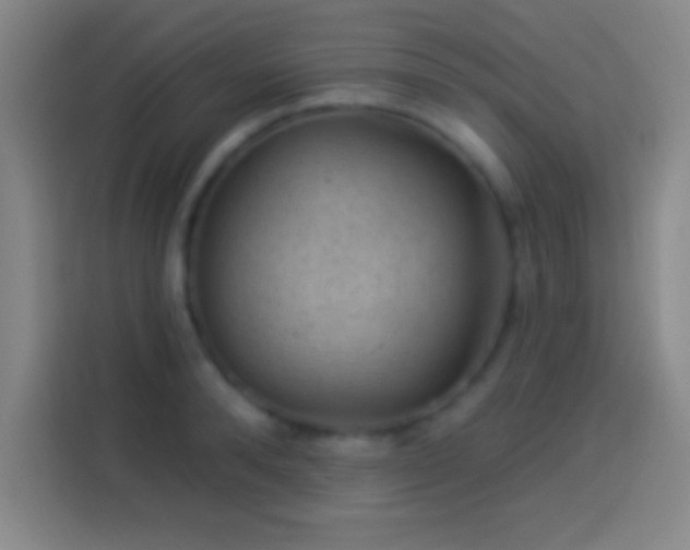 X0000113900896200910011340