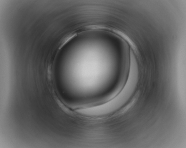 X0000113900897200910011340