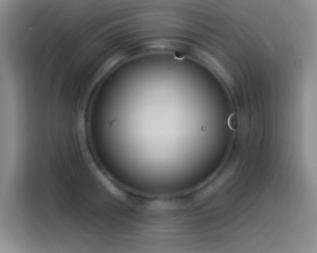 X0000113900898200910011340