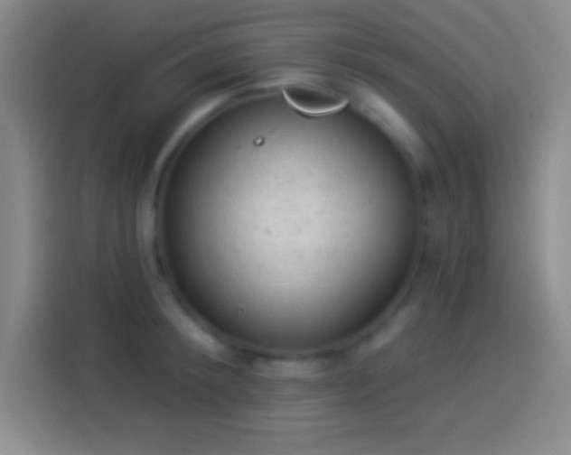 X0000113900900200910011340