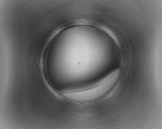 X0000113900901200910011340