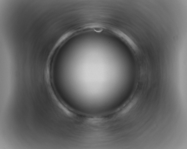 X0000113900902200910011340