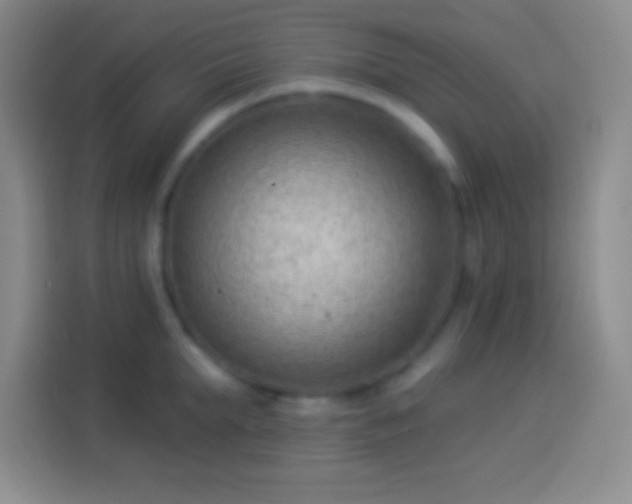 X0000113900903200910011340