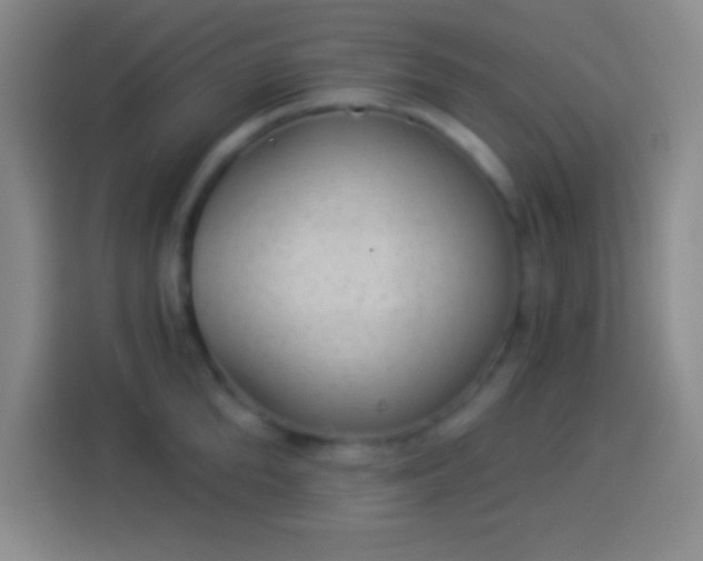 X0000113900904200910011340