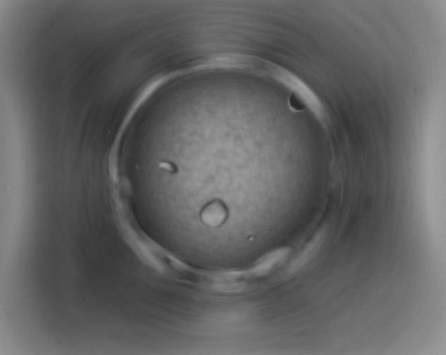 X0000113900907200910011340