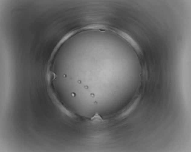 X0000113900908200910011340