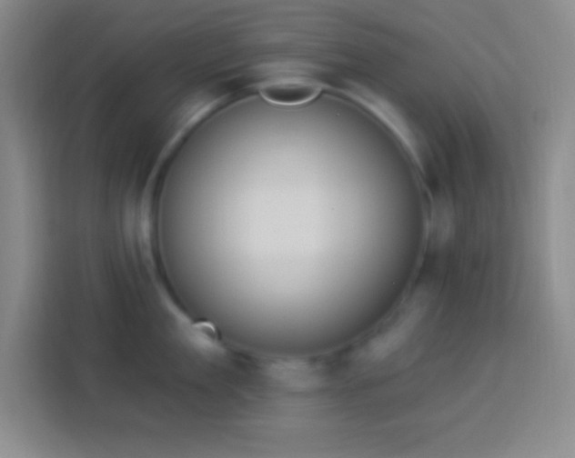 X0000113900909200910011340