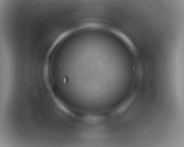 X0000113900910200910011340