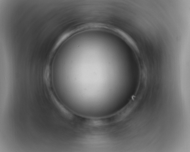 X0000113900911200910011340