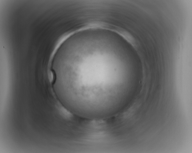 X0000113900912200910011340