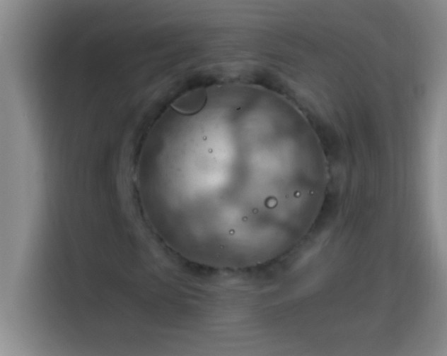 X0000113900913200910011339