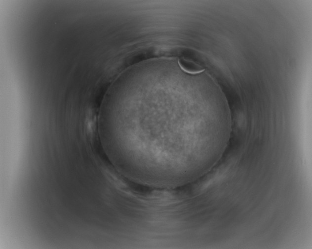 X0000113900914200910011339