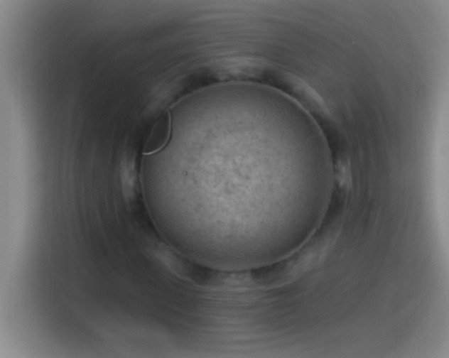 X0000113900915200910011339