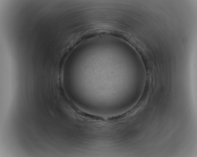 X0000113900916200910011339