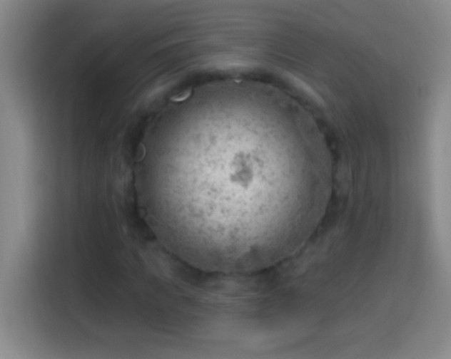 X0000113900917200910011339