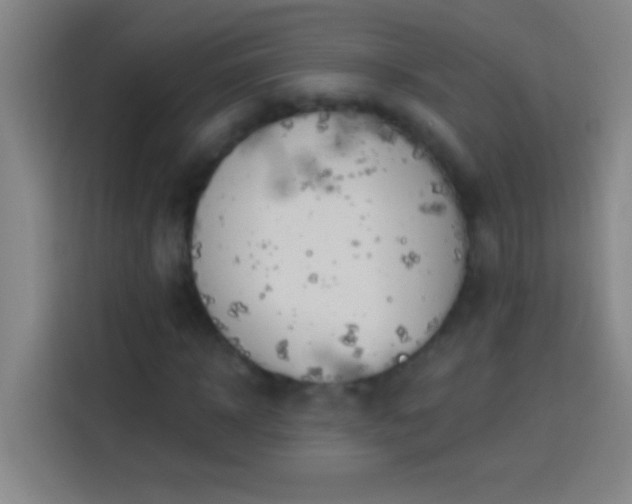 X0000113900918200910011339