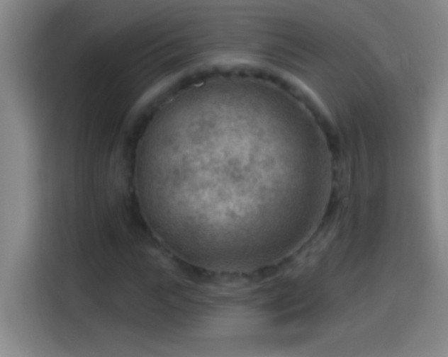 X0000113900919200910011339