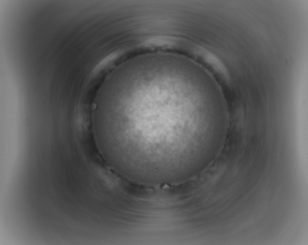 X0000113900920200910011340