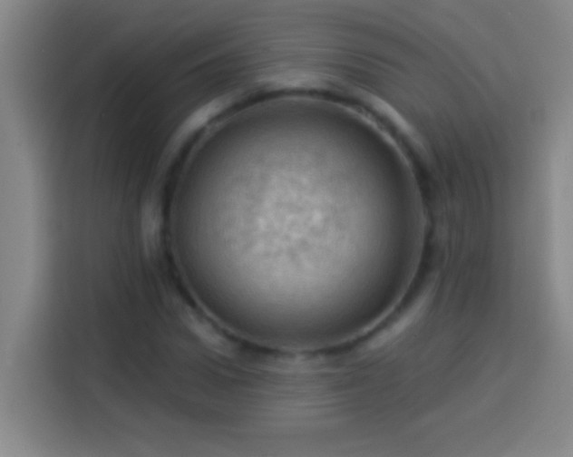 X0000113900922200910011340