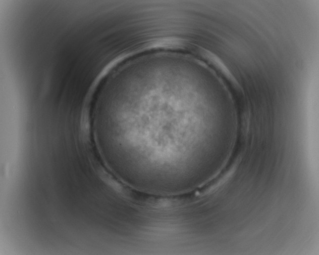 X0000113900923200910011340