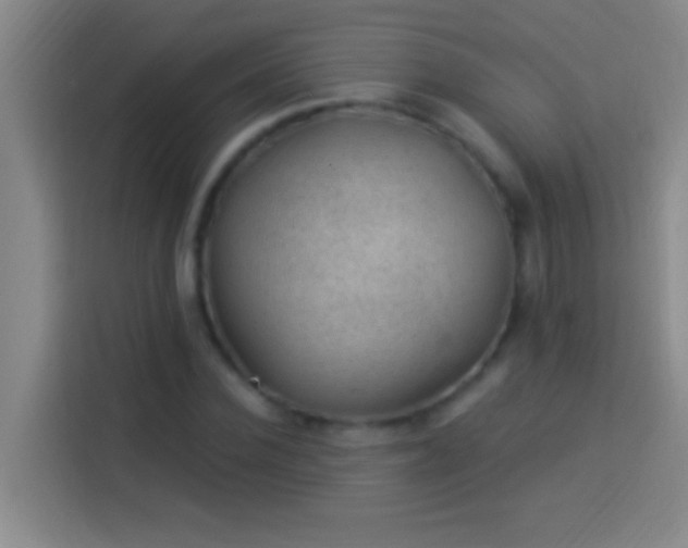 X0000113900924200910011340