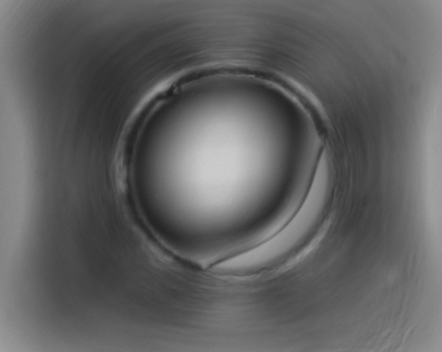 X0000113900925200910011340