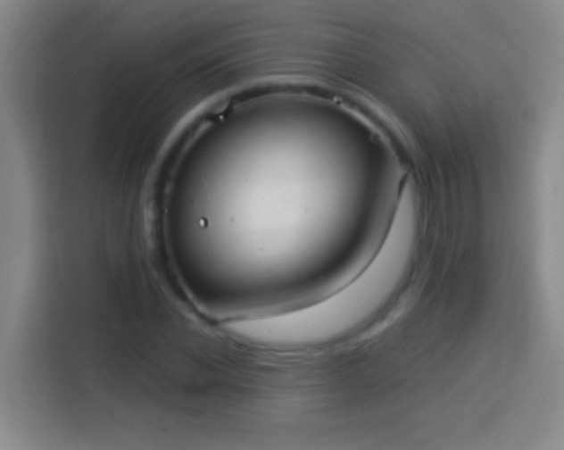 X0000113900926200910011340