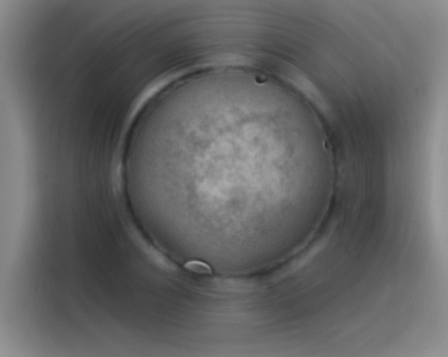 X0000113900928200910011340