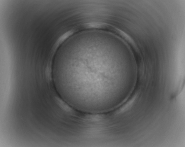 X0000113900930200910011340