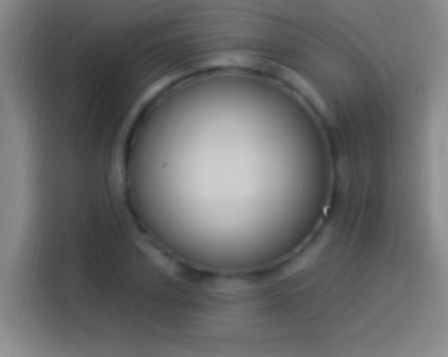 X0000113900931200910011340