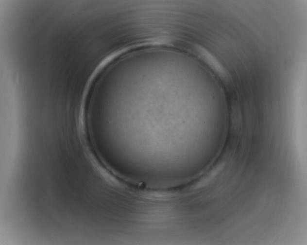 X0000113900932200910011340