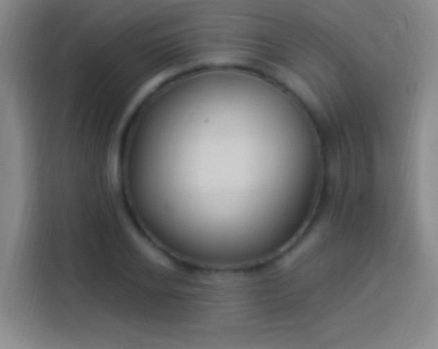 X0000113900934200910011340